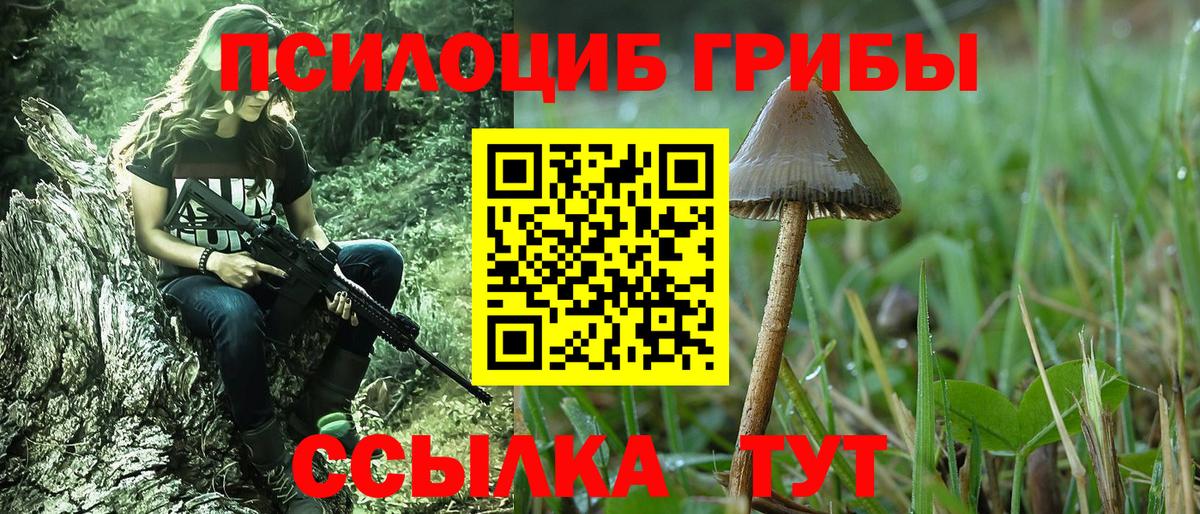 Псилоцибиновые грибы Psilocybe  Вход с VPN  Кумертау 