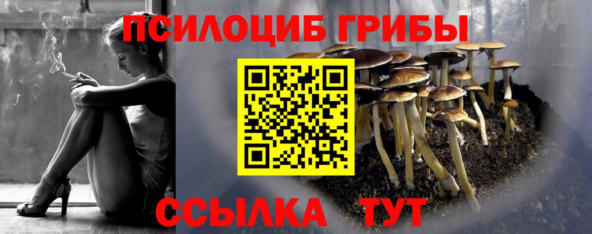 Псилоцибиновые грибы прущие грибы Кумертау